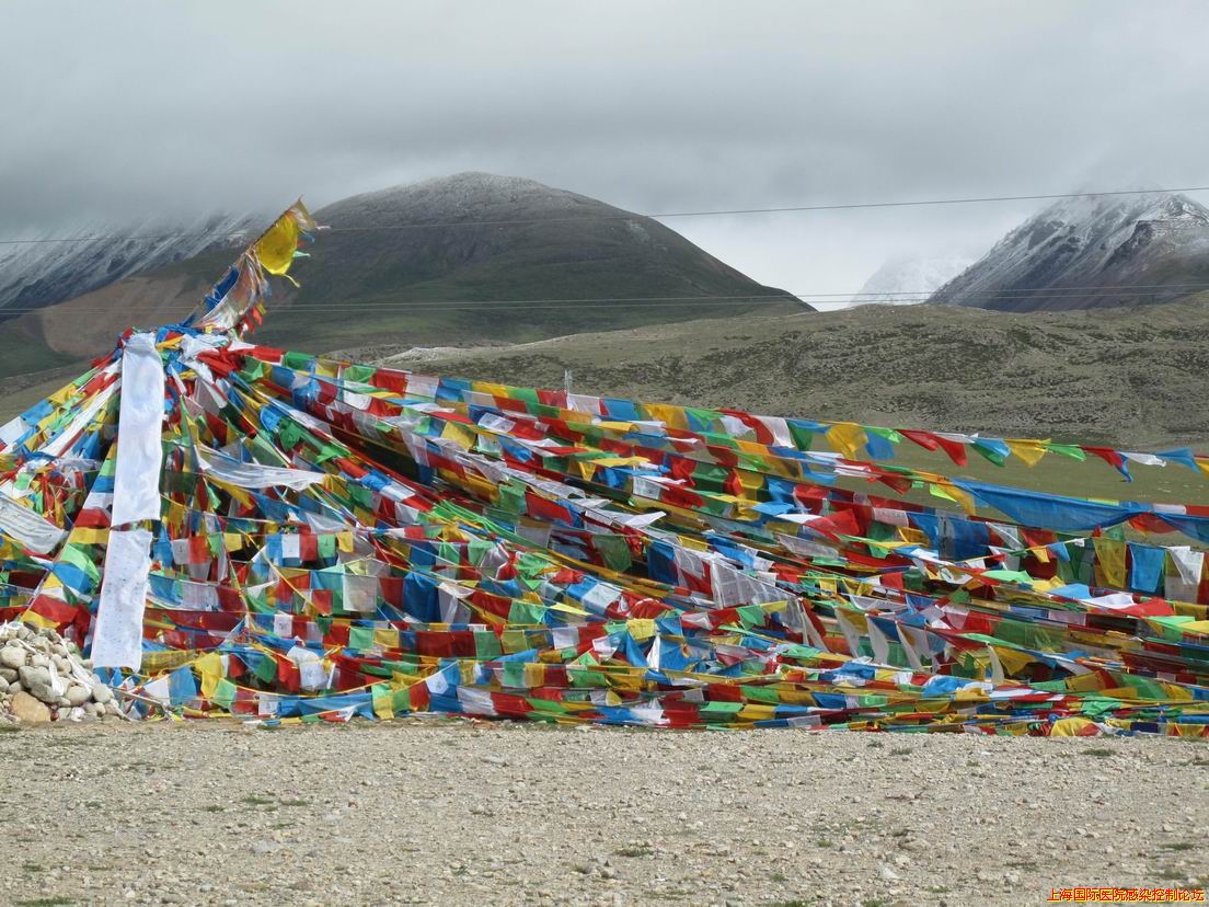 调整大小 IMG_0323.jpg