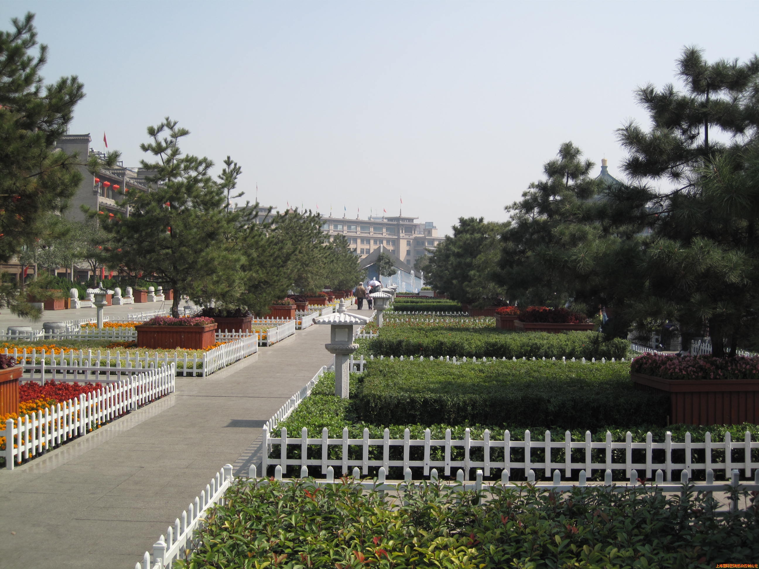 照片(20100522) 725.jpg