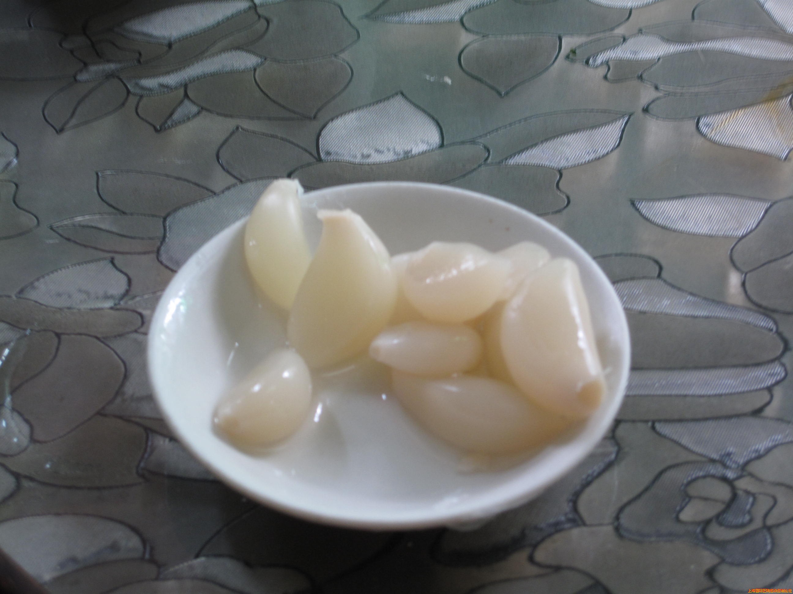 照片(20100522) 784.jpg