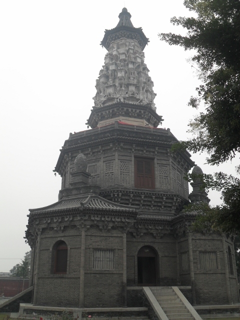 SDC18424 (480x640).jpg