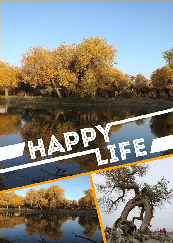 2017年10月5日内蒙额济纳胡杨林2.jpg 2017年10月5日内蒙额济纳胡杨林2.jpg