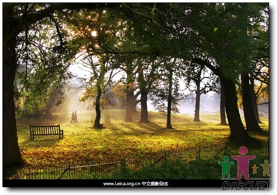 清晨的英国皇家植物园