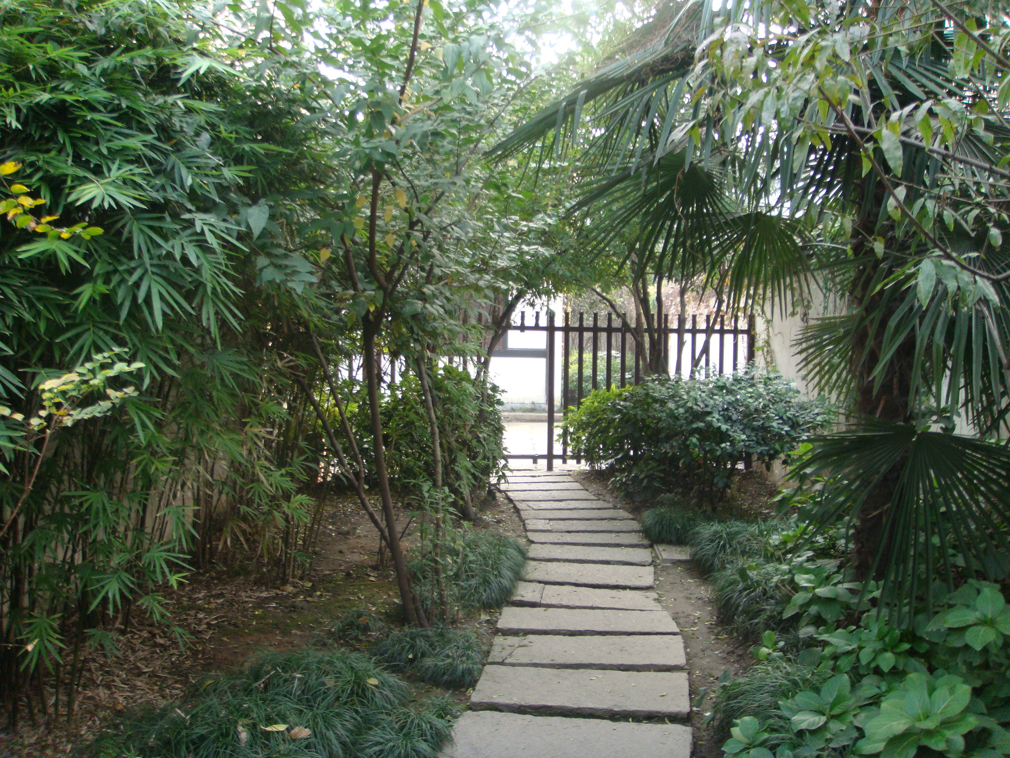 2008-11-15 14-02-18_0137.JPG